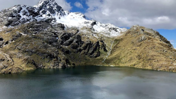 紐西蘭皇后鎮-但尼丁-奧馬魯藍眼企鵝【中文專車-愜意舒適】