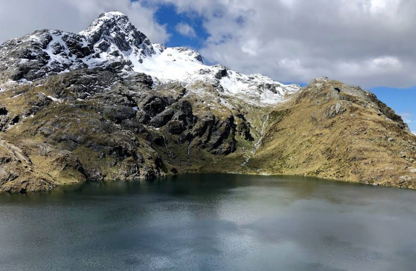 新西蘭皇后鎮-但尼丁-奧馬魯藍眼企鵝【中文專車-愜意舒適】