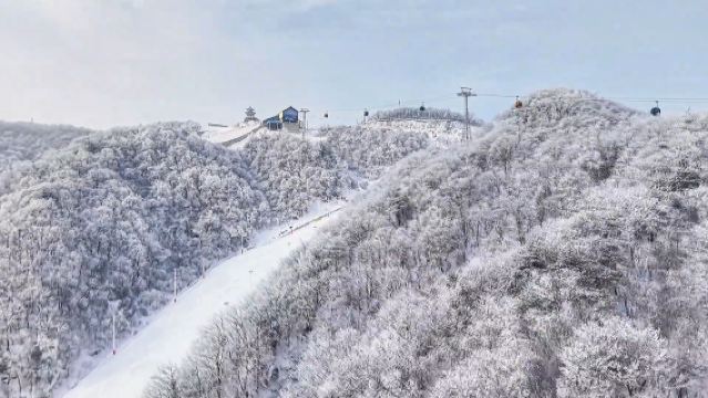 Lawatan Sehari Sewaan Peribadi ke Gelanggang Ski Gunung Funiu (Boleh Beli Kad 3/5 Kali/Kad Musim Biasa/Kad Musim Penuh Ski)