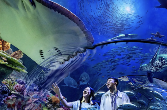 tiket masuk masuk Samudra Ancol