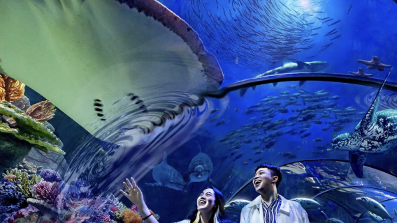 Samudra Ancol Admission Ticket