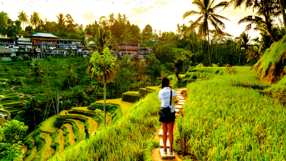 Mount BATUR Sunrise Jeep With Tegallalang Rice Terrace Tours