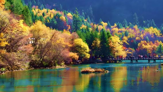 Chengdu Must-Visit: One-Day English Mini-Group Tour to Jiuzhaigou