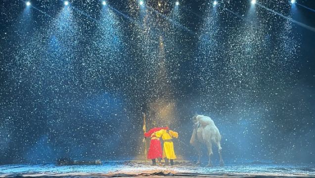 陝西歷史博物館代預約門票+人工講解2小時+《西安千古情》演出