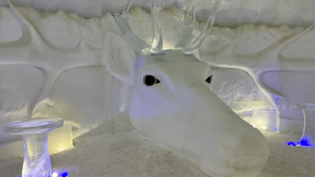 Norway Snow Hotel Visit (Including Dinner) Day Tour ~4 hr|English Tour · Kirkenes