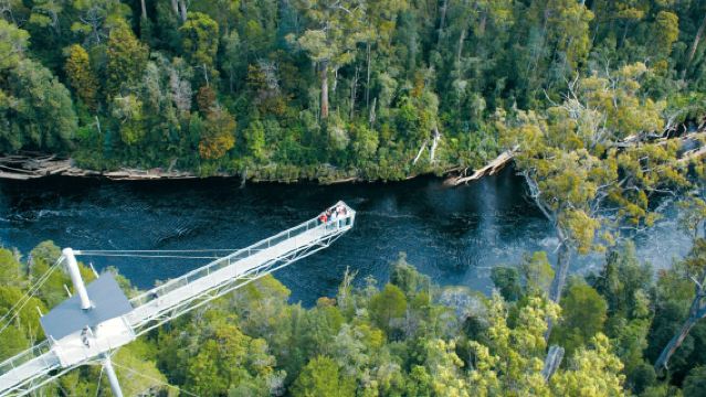 Australien: Huon Valley Tree Top Walk + Hastings Höhle + Huon Valley Tour inkl. Transfer