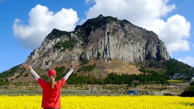 South-West Jeju Essentials: Hallasan & Signature Highlights