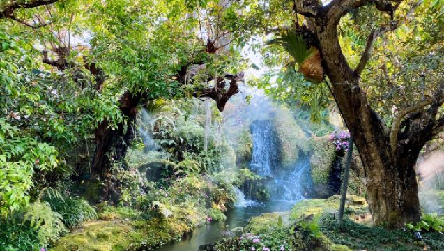 Lawatan sehari sewaan peribadi ke Taman Gajah Chiang Mai + Nimman Road + Alice Cafe + Zoo Malam