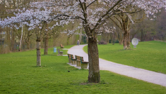慕尼黑阿爾卑斯山脈之旅┃楚格峰+艾布湖+【中文包車出行自由】