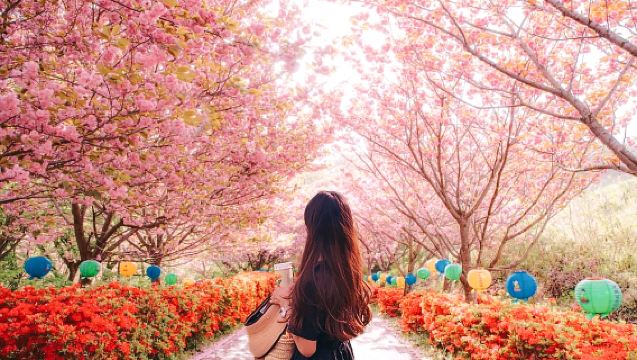 Day Trip from Seoul | Suwon Hwaseong Fortress + Munsusa Temple + Haengjusa Temple