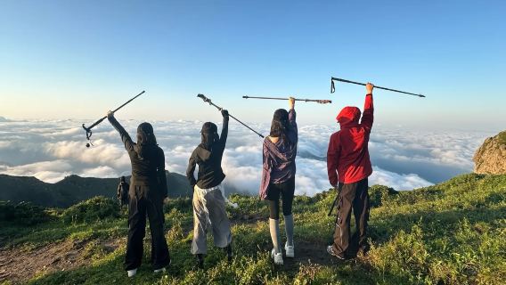 東靈山生態旅遊區登頂挑戰+2303米靈山主峰+征服北京之巔一日遊