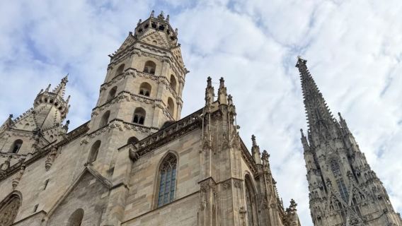 Austria | Vienna - Istana Schönbrunn - Istana Hofburg - Muzium - Dua Katedral - Perjalanan Eksklusif (Tiada Tiket Masuk)