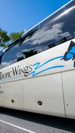 [Tropic Wings] Kuranda Deluxe with Kuranda Scenic Railway Day Tour
