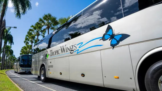 [Tropic Wings] Kuranda Deluxe avec le Kuranda Scenic Railway et excursion à la journée au sanctuaire des papillons.