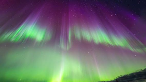 Caza especial de Auroras boreales