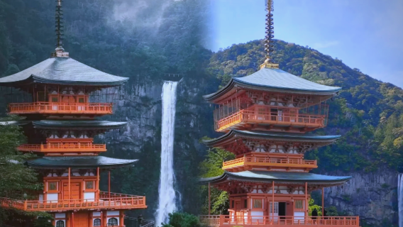 大阪來回-和歌山&白濱溫泉&千疊敷+三段壁，包車遊，行程可調