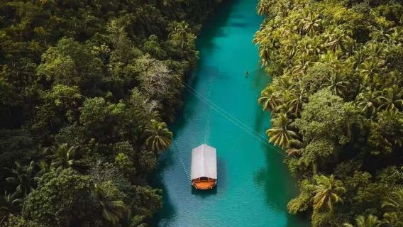 Bohol Island countryside tour (Chocolate Hills + tarsier + Loboc River + man-made forest)