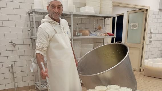 Mozzarella & Cheese Production Visit near Catania & Etna