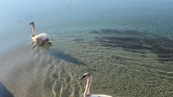 From Tirana/Durrës: Dumre Lakes and Farm Tour with Lunch