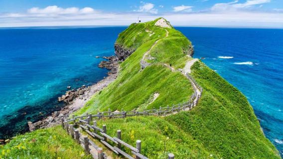 Otaru, Shakotan & Yoichi Distillery Day Tour (Ch/En Guide)