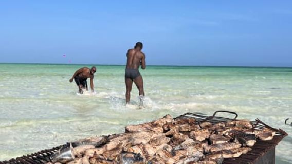 WATAMU: MALINDI: SARDEGNA ISLAND & MALINDI MARINE PARK