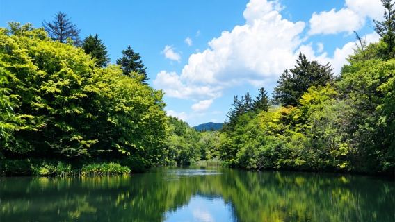 Tokyo pergi-balik | Karuizawa lawatan sehari sewaan peribadi
