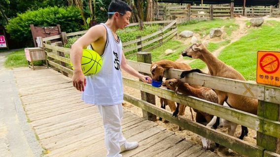 Miaoli: Flying Cow Ranch Ticket + Painted Fatty Beef DIY Experience & Welcome Dairy Products
