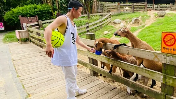 Miaoli: Flying Cow Ranch Ticket + Painted Fatty Beef DIY Experience & Welcome Dairy Products
