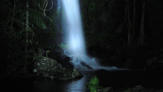 Gold CoastTours