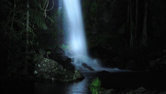 TamborineTours