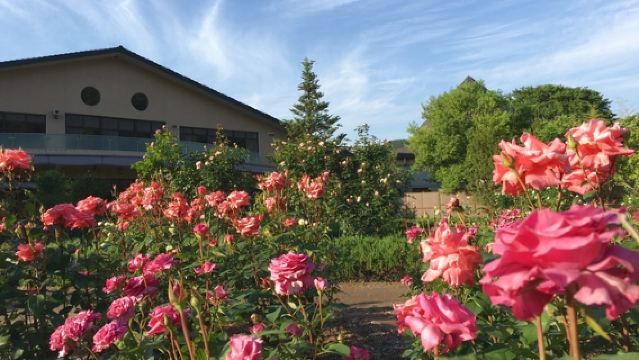 丹波市立薬草薬樹公園　丹波の湯
