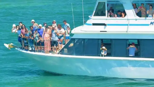 雪梨史蒂芬斯港一日遊【滑沙體驗/月影海豚遊船/無尾熊保護區】