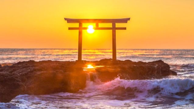 1-day tour to Hitachi seaside park and Oarai Isosaki shrine in Ibaraki, Japan