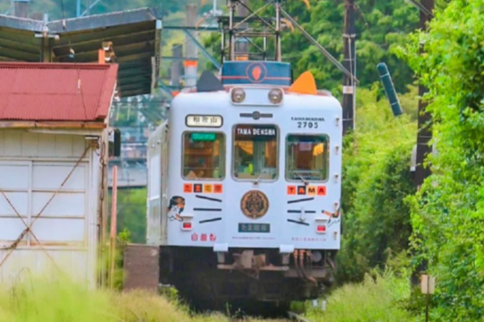 [Nankai Electric Railway All Lines 2 Days] Electronic Ticket ●Kansai Airport Namba Osaka Wakayama Koyasan Rinku Castle Kudoyama
