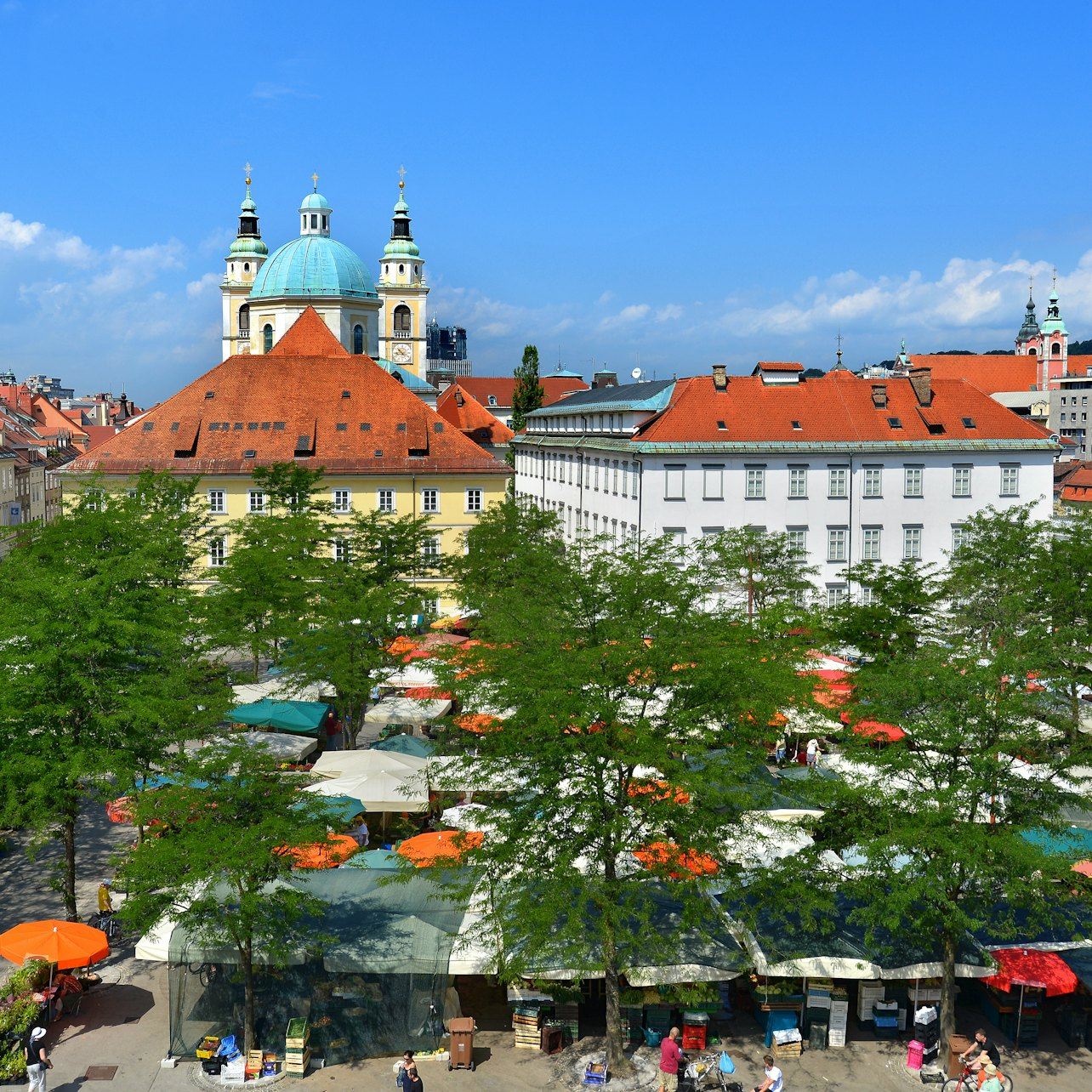 Ljubljana City Center & Ljubljana Castle: Guided Tour