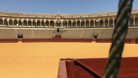 Real Maestranza: Visita guiada