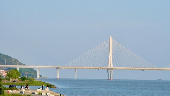 Zhuhai Erjingwan Wetland Park + Mangzhou Wetland + Hong Kong-Zhuhai-Macao Bridge one-day tour English Service Available