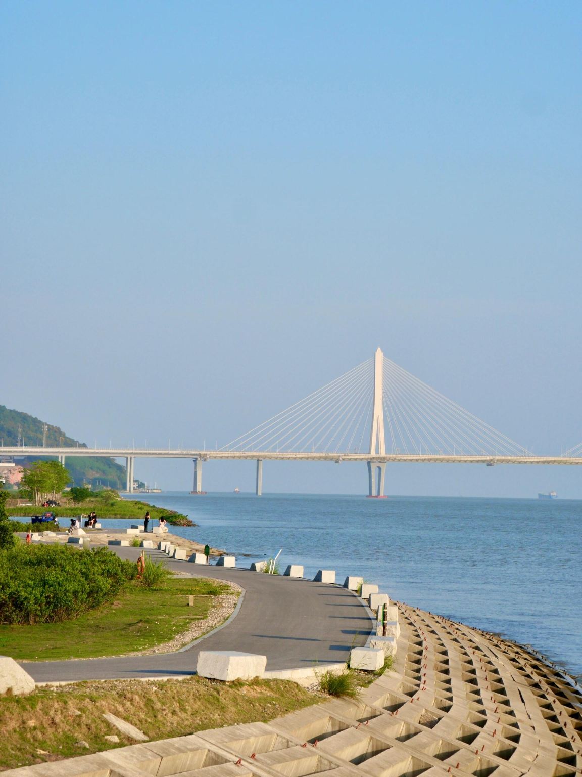Excursion d'une journée au parc humide de Zhuhai Erjingwan, au marais de Mangzhou et au pont Hong Kong-Zhuhai-Macao avec service en anglais