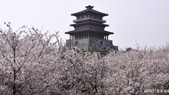 鄭州日遊