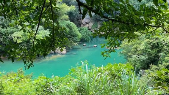 柳州鹿寨一日遊【香橋岩+鹿鳴谷+響水石林+響水瀑布2人起發】