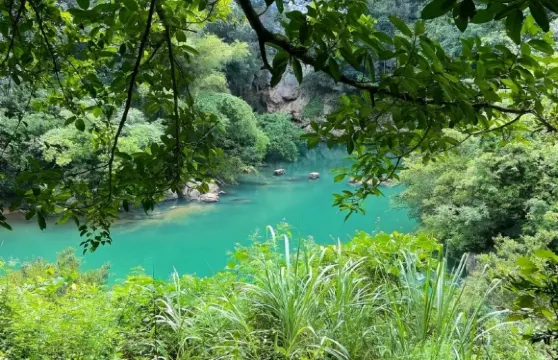 柳州鹿寨一日遊【香橋岩+鹿鳴谷+響水石林+響水瀑布2人起發】