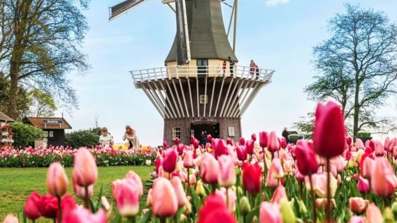 Tagesausflug durch die Keukenhof-Gärten mit Privattransfer : Fischerdorf Volendam und Tulpengärten Keukenhof
