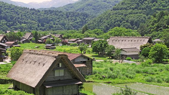 one-day tour to Shirakawa-go, Ono-gun, Gifu Prefecture, Japan + Takayama Kami-San-no-machi Ancient Street, Takayama City, Gifu Prefecture, Japan