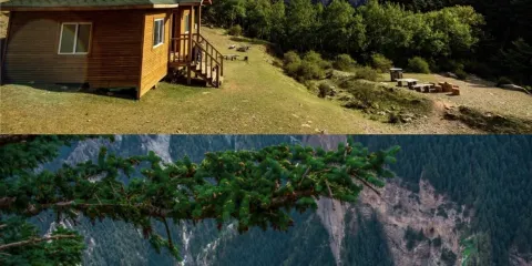 賀蘭山森林公園+源石酒莊一日遊