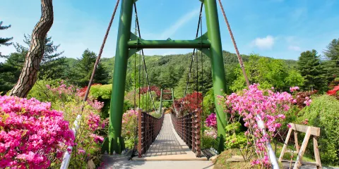 韓國首爾南怡島+小法國村&義大利村+晨靜園藝樹木園+江村自行車一日遊