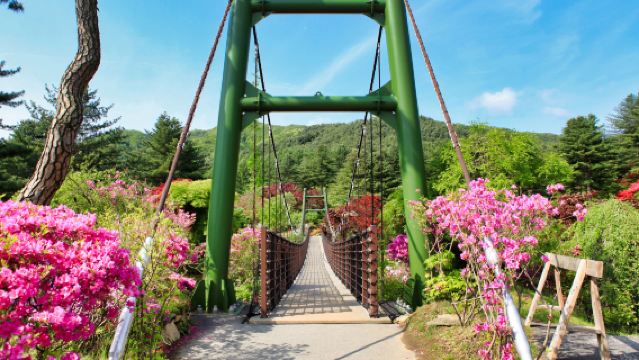 เกาะนามิ กรุงโซล + หมู่บ้านฝรั่งเศส + สวน Garden of Morning Calm + ทัวร์วันเดียว/ทัวร์หลายวัน ปั่นจักรยานคังชอน