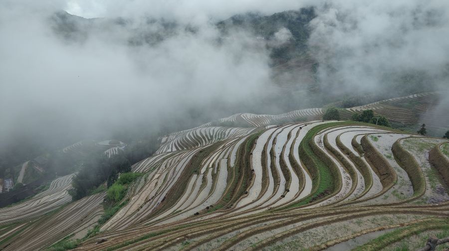 1日私人龍脊梯田連平安寨及大寨之旅