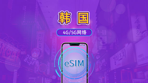 SeoulSIM Cards