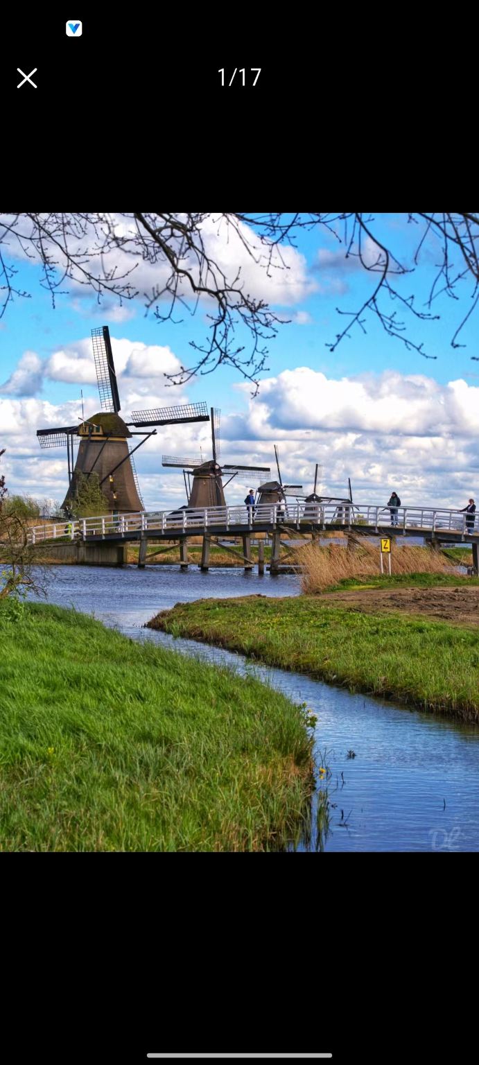 荷蘭鹿特丹+老港口+小孩堤防埃爾斯豪特風車群+市場大廳一日遊