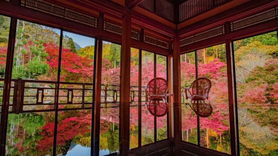 狐狸娶親：祐德稻荷奇緣夜·環境藝術之森（福岡出發體驗！)